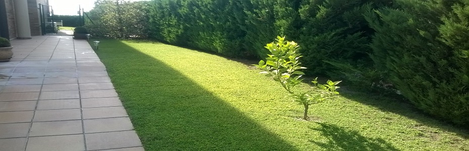 MANTENIMIENTO DE JARDINES