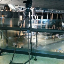 IMG-20141211-WA0014 IMG-20141211-WA0014