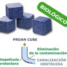 cube urinario cube urinario