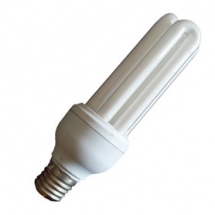 atrapa_insectos5 atrapa_insectos5