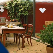 insect_catcher_1 insect_catcher_1