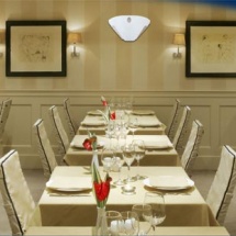 insect_catcher_3 insect_catcher_3